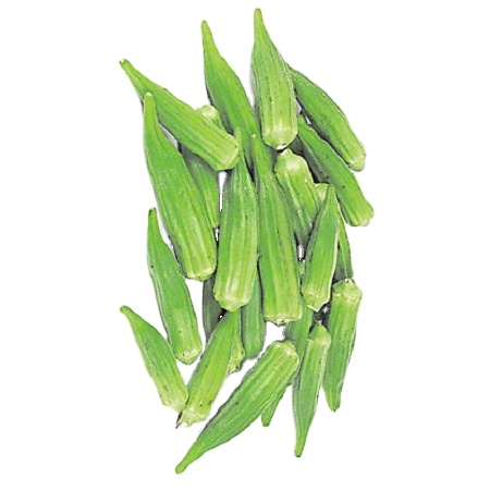 Лучший продавец свежих овощей Okra по низкой цене