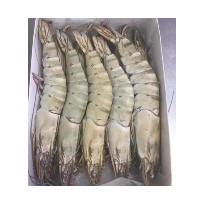 Frozen Shrimp High Quality IQF Frozen Raw Black Tiger Prawn Wholesale Seafood From Vietnam