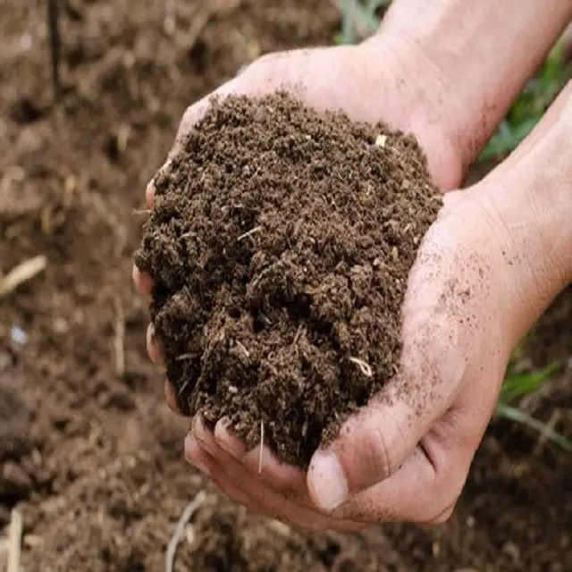 Compost From Cow Dung Organic Fertilizer by Indian supplier