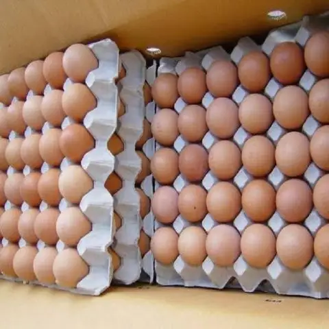 Supplier Chicken Eggs Farms Cheap Direct Sale Organic White/ Brown Chicken Eggs Broiler Chicken Eggs For Sale