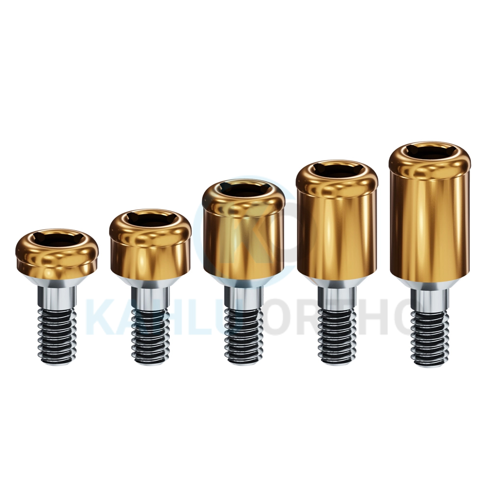Other Dental Equipments Medical Device Uses Stainless Steel Best Supplier Dental Screw By KAHLU ORTHOPEDIC