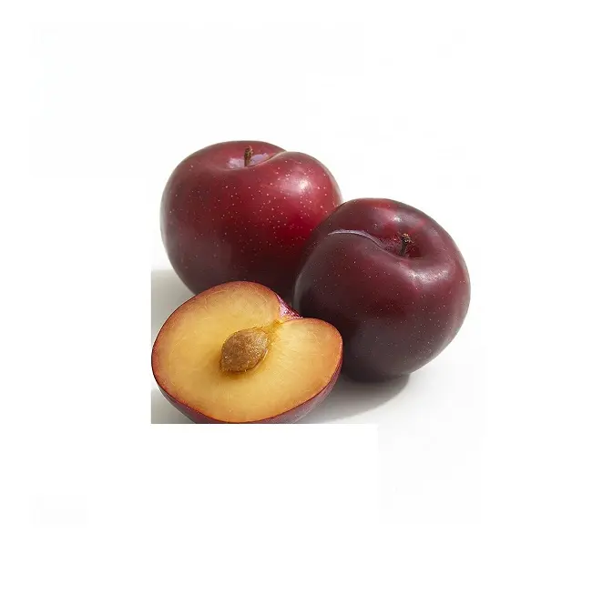 Cheap Wholesale Top Quality Fresh Fruits Plums In Bulk