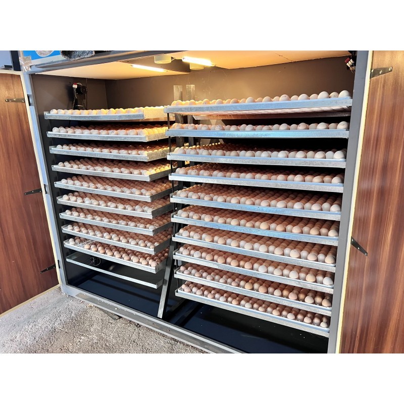Fully automatic egg incubator custom egg