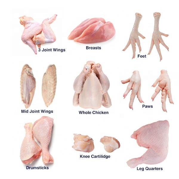 Halal Fresh Frozen Chicken Breast  Style Packaging Feature Weight Fat Shelf Origin Type Life Shape Grade Product SIF Number