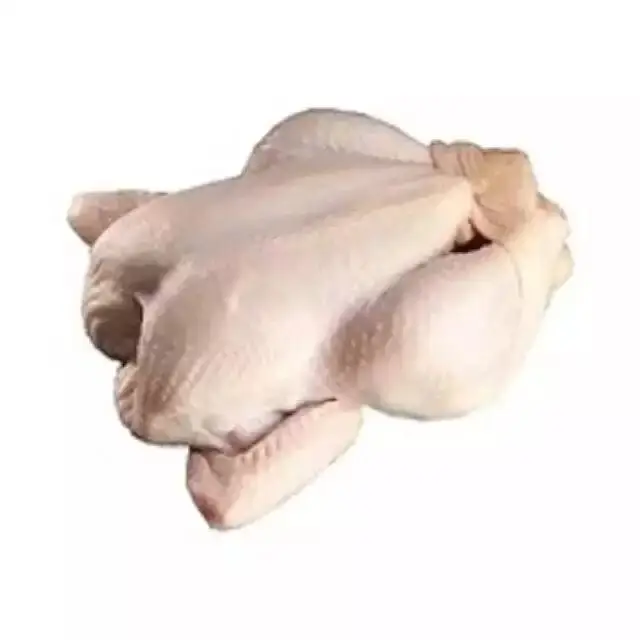 Halal Premium  Frozen Chicken Legs /Chicken Drumstick For Good Price Whole Chicken for sale