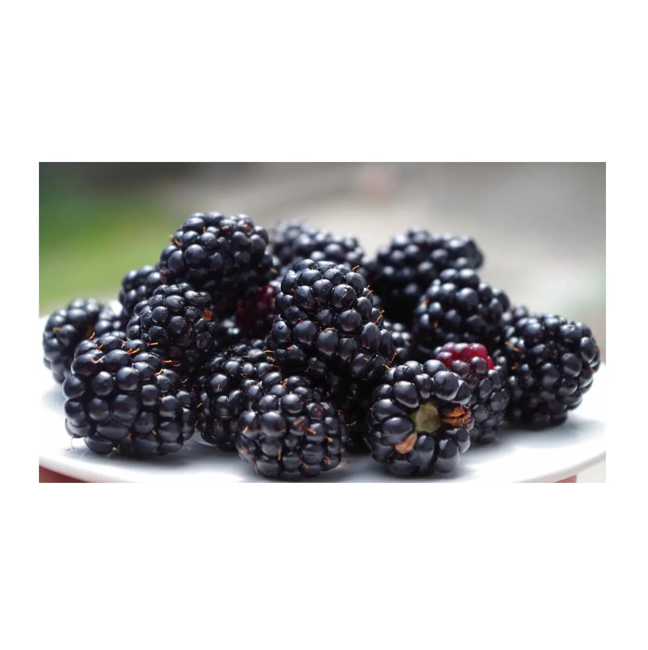 Wholesale Cheap Price Best Quality Fresh Fruits Blackberries For Sale Worldwide Exports