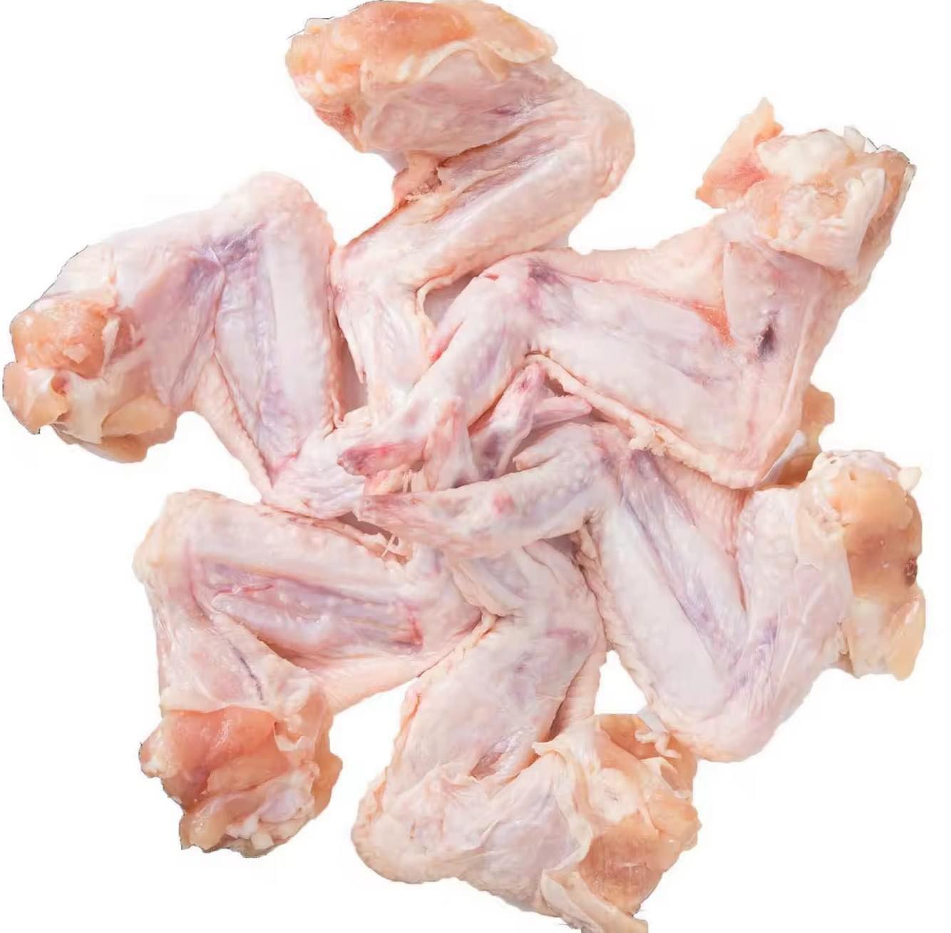 Frozen Camel Meat