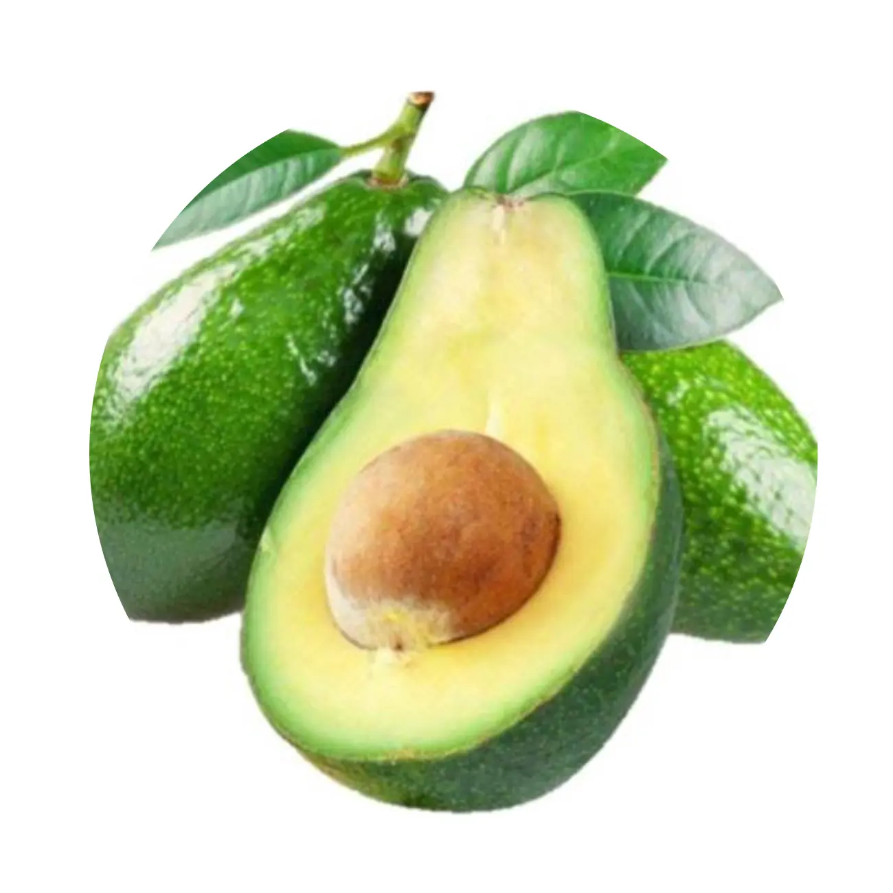 BEST FROZEN AVOCADO FROM VIET NAM - HOT DEALS FRUIT SUMMER 2022 - BEST QUALITY AND COMPETITIVE PRICE