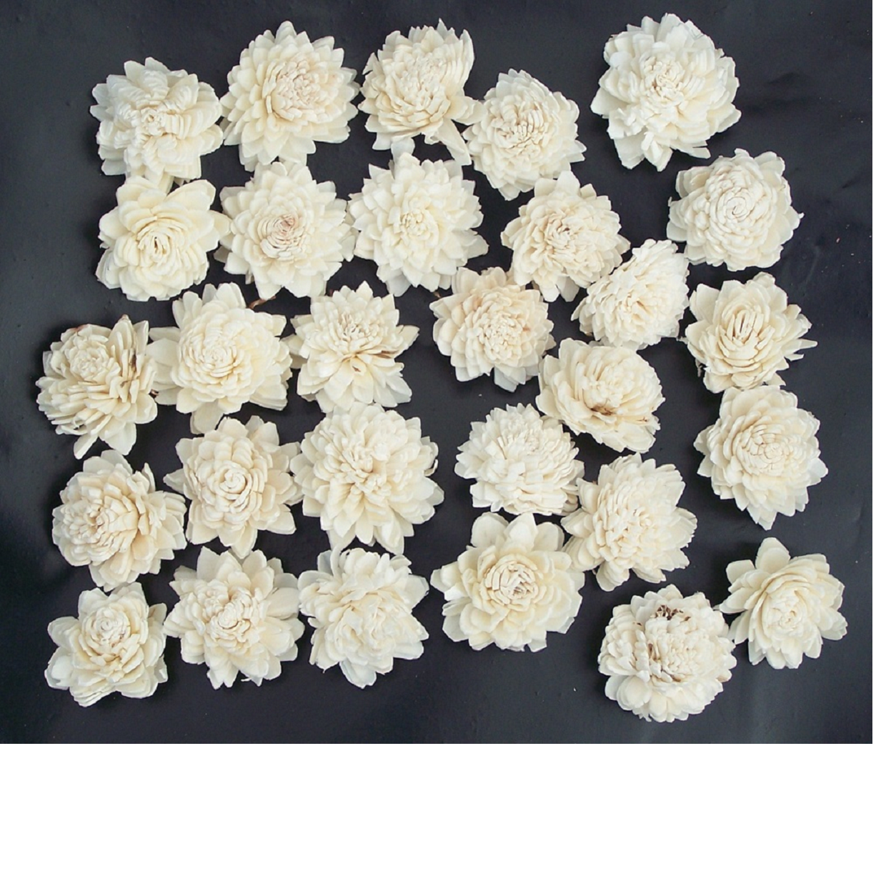 natural sola flowers in size 2 cm suitable for use by wedding stationers and  by home decoration stores