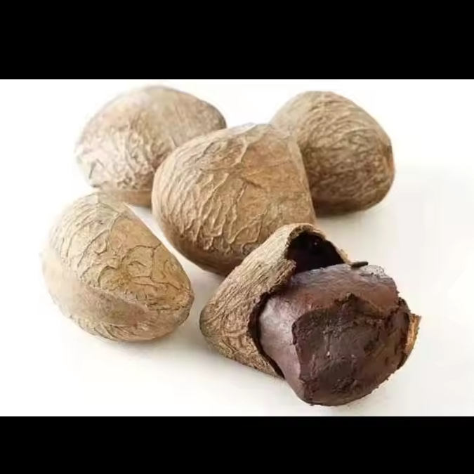 PANGIUM EDULE Dried Fruit Style Dried Part Fruit Product