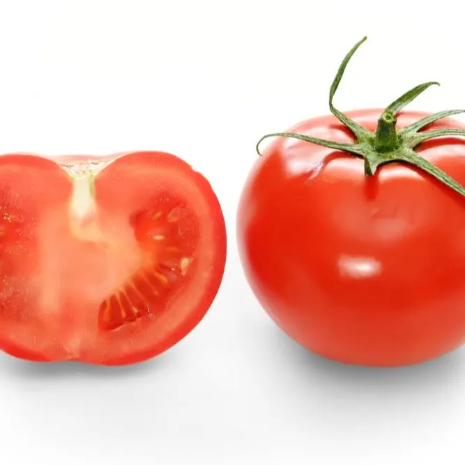 Bulk Fresh Fruit Cherry Red Fresh Tomato Fruit Manufacturers