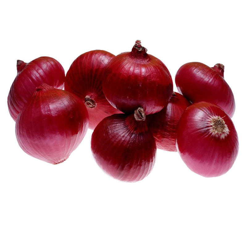 High quality The most popular wholesale Fresh oignons Shallot Peeled Onion Red Yellow White Organic Onion