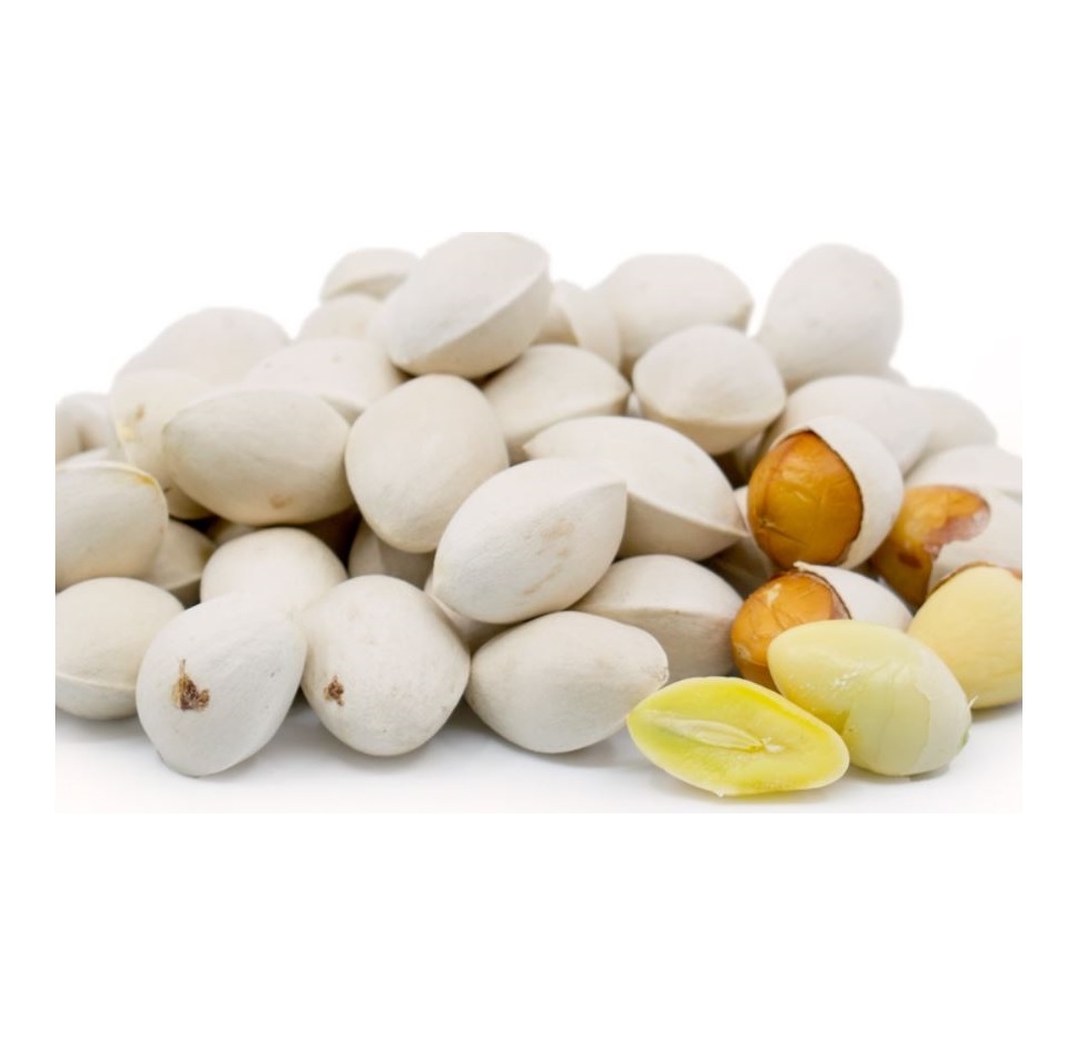 Top quality natural Ginkgo Nuts - Premium Raw Ginkgo Nuts, New Harvested