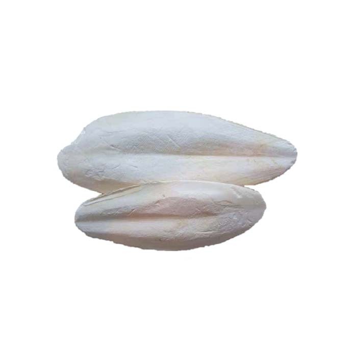 Long-lasting cuttlefish bones for exotic birds offered in bulk for sale