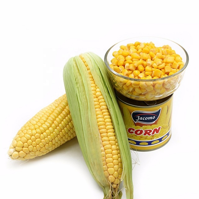 Хит продаж на экспорт, желтая кукуруза без ГМО/желтая кукуруза и белая кукуруза/Сушенная на воздухе Желтая Кукуруза для продажи