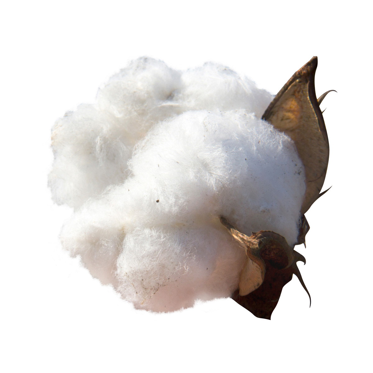 Top quality loose cotton pulp cellulose raw material product of Uzbekistan cellulose cotton