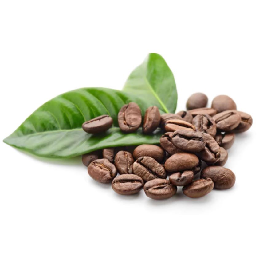 Organic Coffee High Quality Organic Coffee Whole Grain and Enriched Taste Best Flavored Raw Coffee Beans