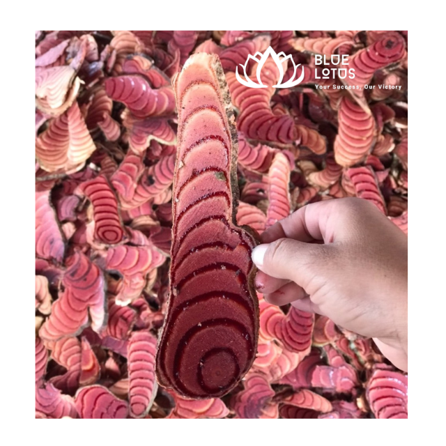 CAULIS SPATHOLOB Вьетнам высокое качество Хорошая цена экспорт для китайского рынка для лечения гинекологических и скелетных мышц