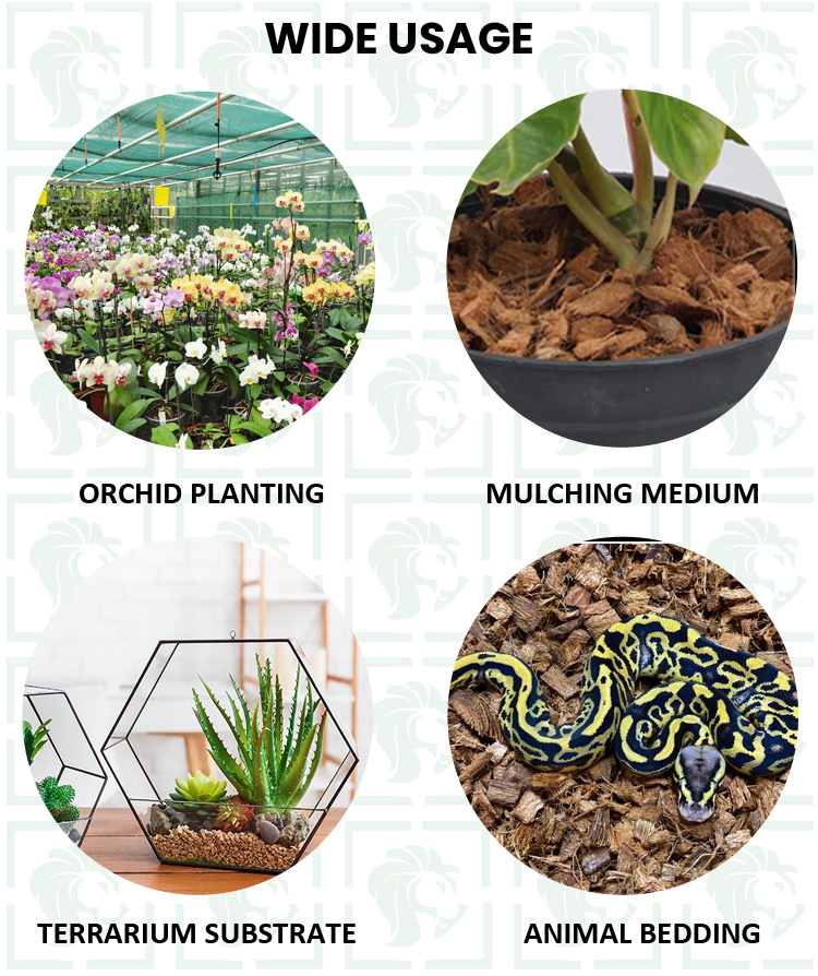 High Quality Natural Terrarium Substrate Coco Coir Husk Chips Block 5kg for Orchid Planting, Landscaping and Mulching