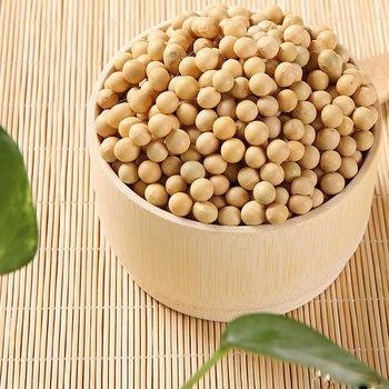 Organic Soya Beans for Sale Large Quantity