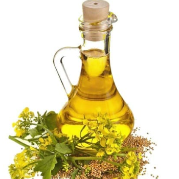 Refined rapeseed oil