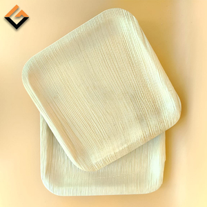 Low MOQ Disposable Biodegradable Areca Palm Leaf Wooden Plate for Party Wedding compostable 6 8 10 inch square plates disposable