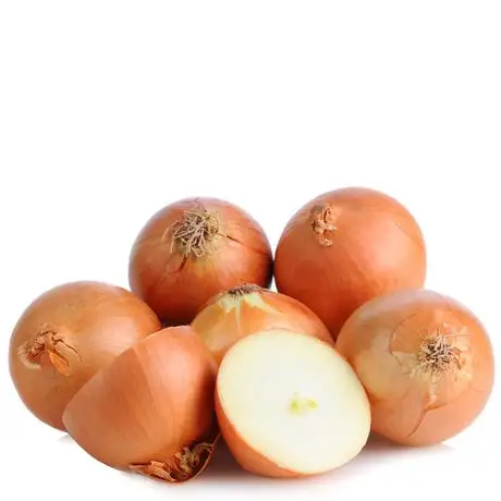 HIGH QUALITY  Fresh Yellow Onion and Red Onions New Harvest Wholesale  Top Grade