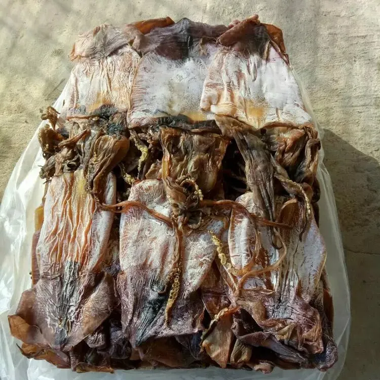 WHOLESALERS DRIED BLACK SQUID VIETNAM /STHENOTEUTHIS OUALANIENSIS HIGH QUALITY/SEAFOOD VIETNAM