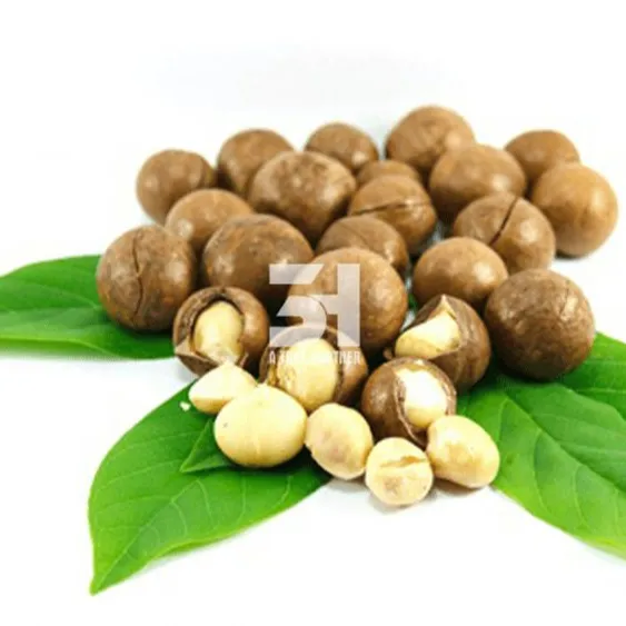 TOP Vietnamese Dried Macca Nuts high quality and competitive price Contact  Ms.Nancy +84 981 85 90 69