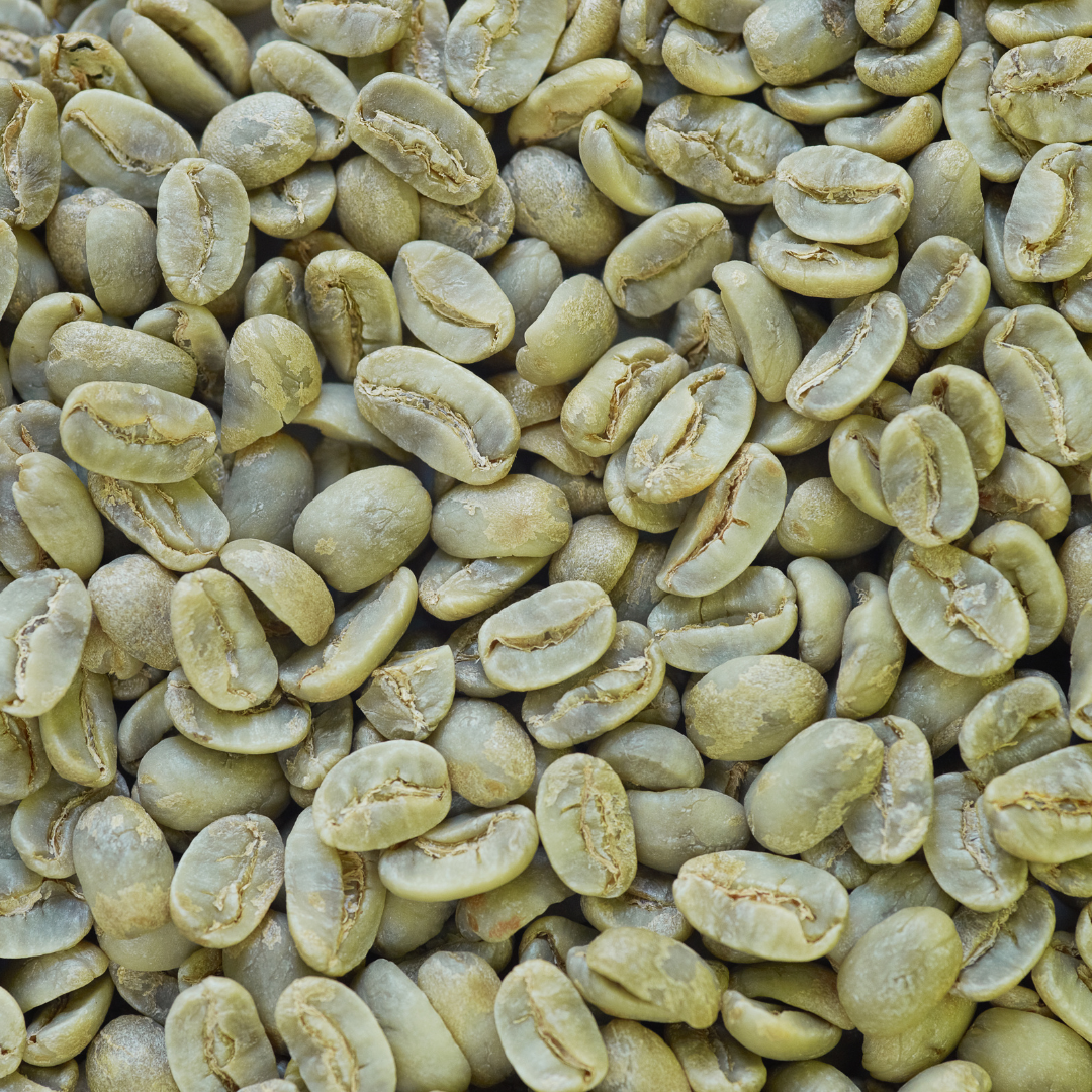 100% органические кофейные зерна Arabica Da Lat S18, промытые обработанные высококачественные кофейные зерна из вьетнама, новый продукт, оптовая продажа