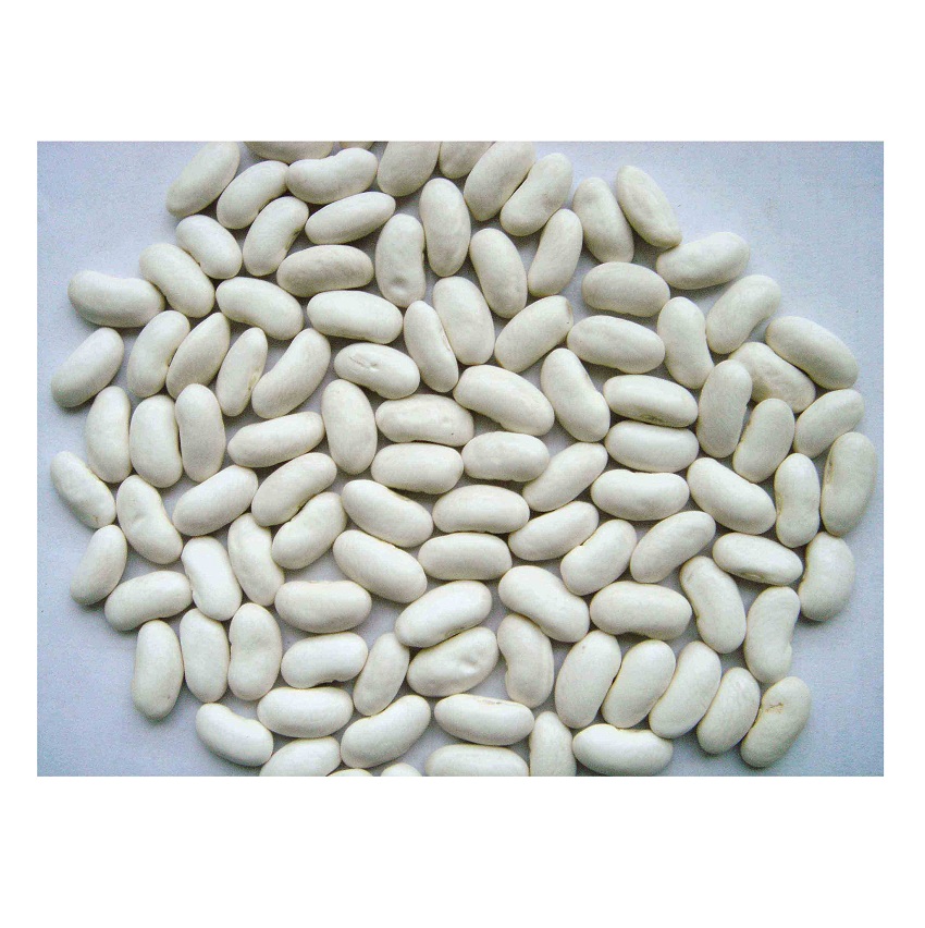 High Quality Organic Dried White Kidney Beans Available For Sale At Low Price