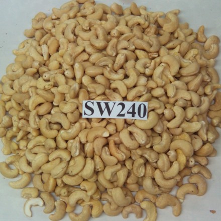SW240 cashew nuts with Good Quality Wholesale nuts and kernels Salt roasted Cashew nuts Vietnam