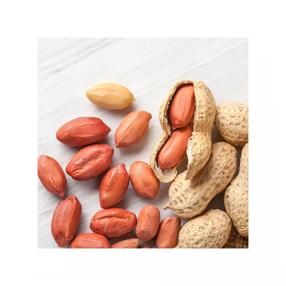 High Quality / Top Brazilian // high quality dry organic raw peanuts in shell for sale packing in boxes hot sale peanut groundnut seed blanched peanuts