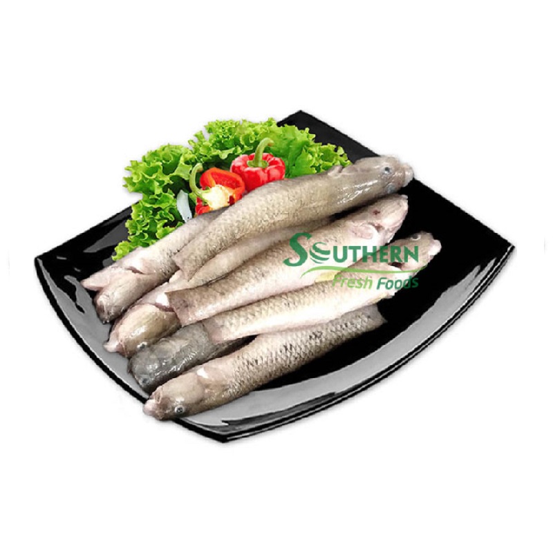 Вакуумная упаковка качества морепродуктов, 30/50 г за штуку, низкая цена, минимальный объем замороженного песка, Безголовый из Вьетнама