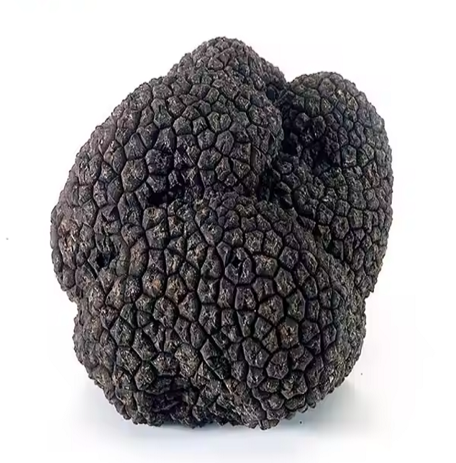 Cheap Price Black Truffles Mushrooms Dried edible mushrooms