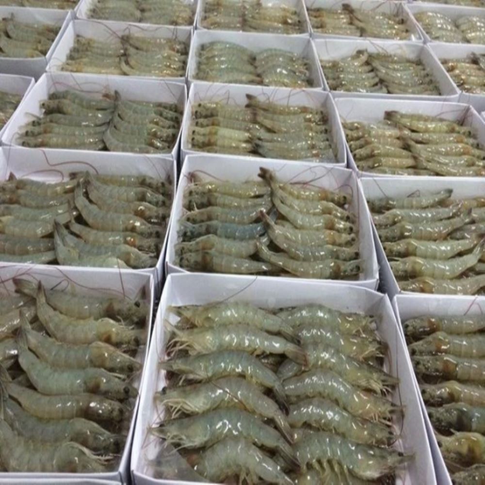 Белая креветка, профессиональная команда, экспорт морепродуктов, свежий Вакуумный пакет, упаковка, сделано во Вьетнаме, торговля замороженными