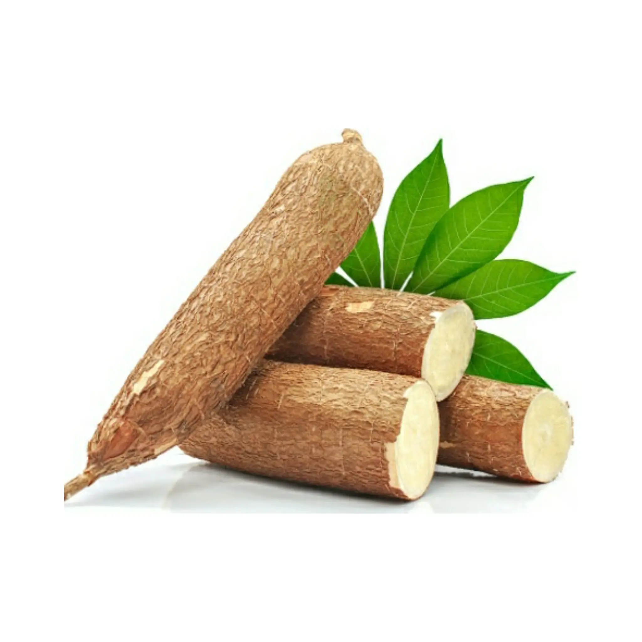 Hot Selling Vegetables Large Quantity Market Sale New Crop Manioc Yucca Roots Quality Fresh Cassava