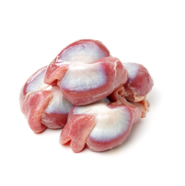 Оптовая продажа, хорошего качества, свежий очищенный замороженный утка gizzards для экспорта