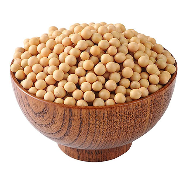 Soybean Bulk soybeans soybean Seed Exporter