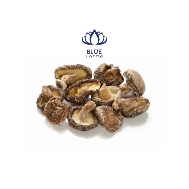 Hot Price Shiitake Dried Mushroom From Viet Nam With High Quality