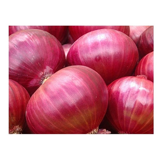 Wholesale Supplier of Organic Red Onion / Fresh Yellow Onions Bulk Quantity Ready For Export