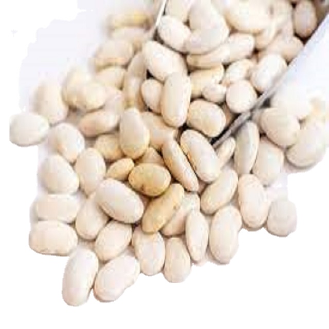 sugar beans Tesco Butter Beans 400G whole best price
