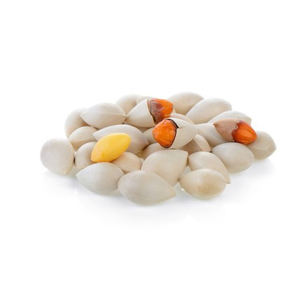 Selling Ginkgo Nuts Fresh Raw Ginkgo Nuts Medical BULK Style Packaging Color Material Natural half opened sales