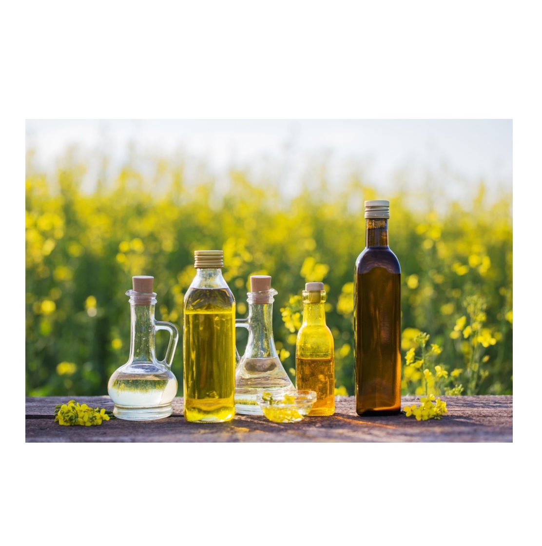 Дешевая цена, оптовая продажа, рапсовое масло/рапсовое масло оптом