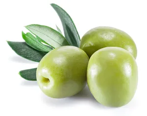 Pure quality Fresh Green Olives order now