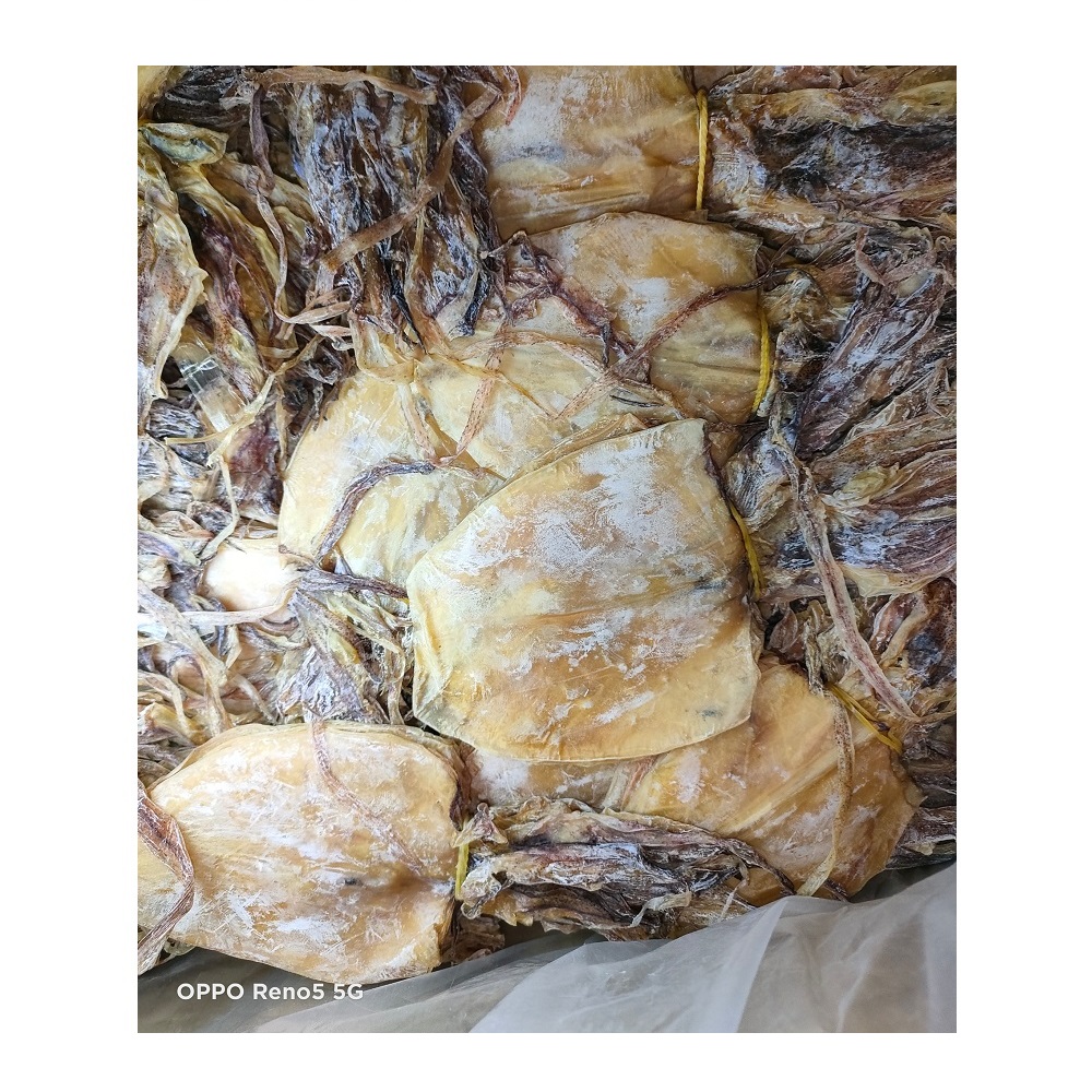 Малайзийские поставщики, кальмар, кальмар, сушеный кальмар, кальмар, срок годности 6 месяцев, охладитель