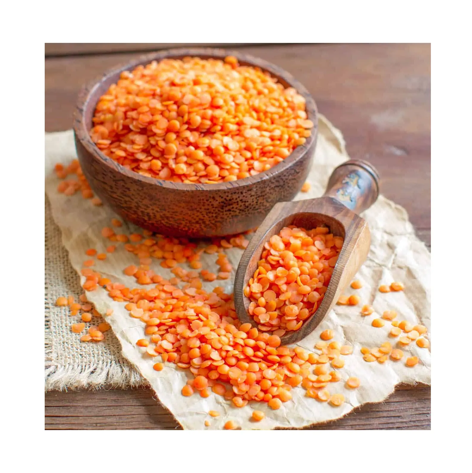 New Crops Red Lentil High Quality Organic Red Lentils in Bulk