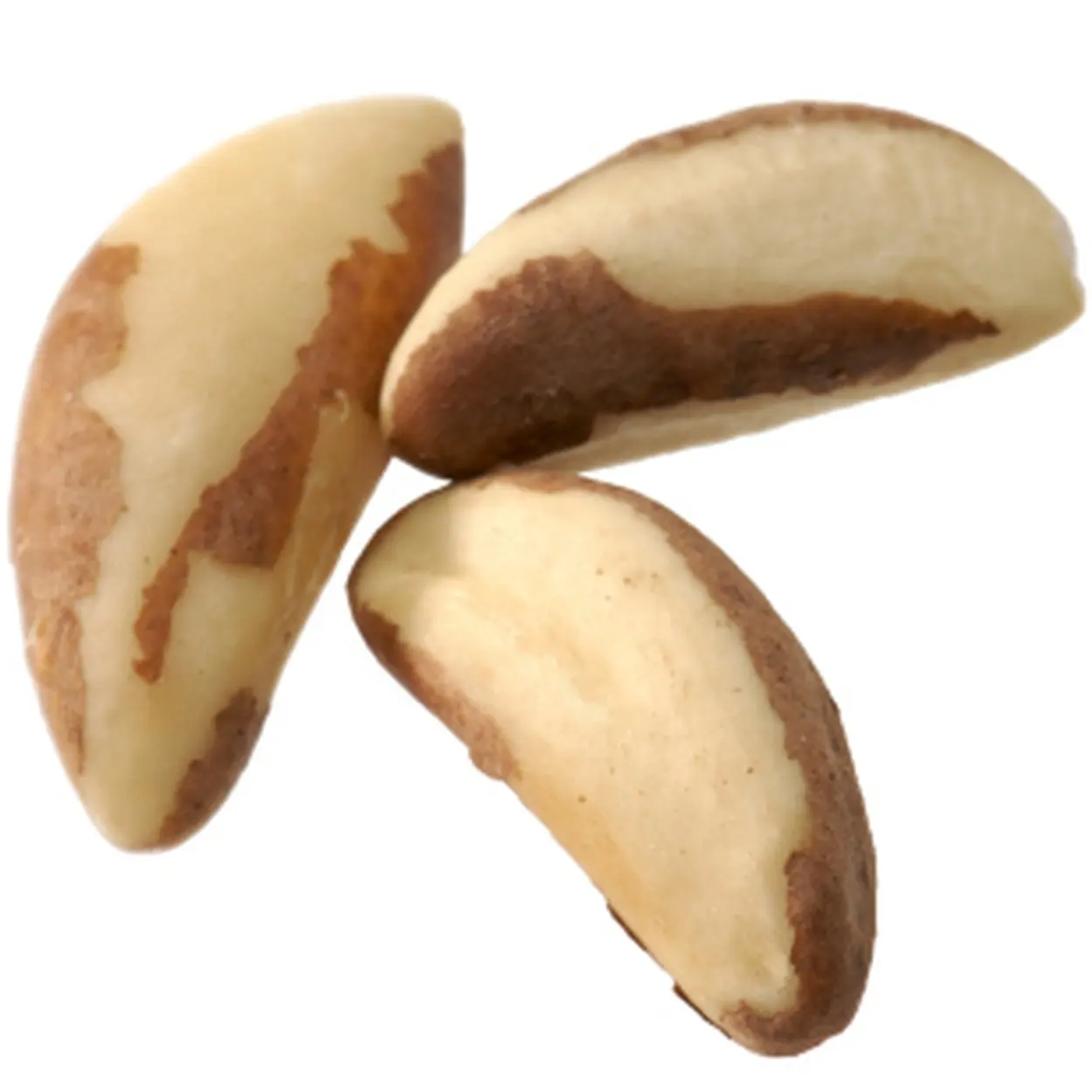 100% cheap price Brazil Nuts / Raw brazil nuts