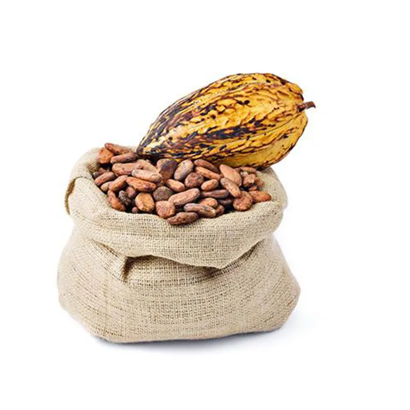 High Quality Raw Cacao Beans Organic Dark cocoa Beans