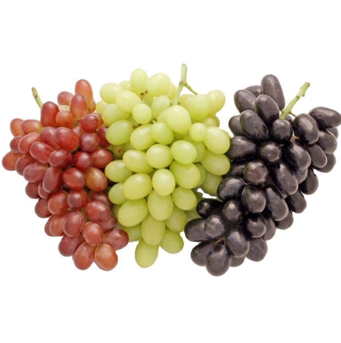 New 2023 crop red and green seedless fresh grapes ready to export